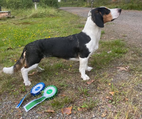 C. X-Laulajatar, kuva: Nelli Kinnunen